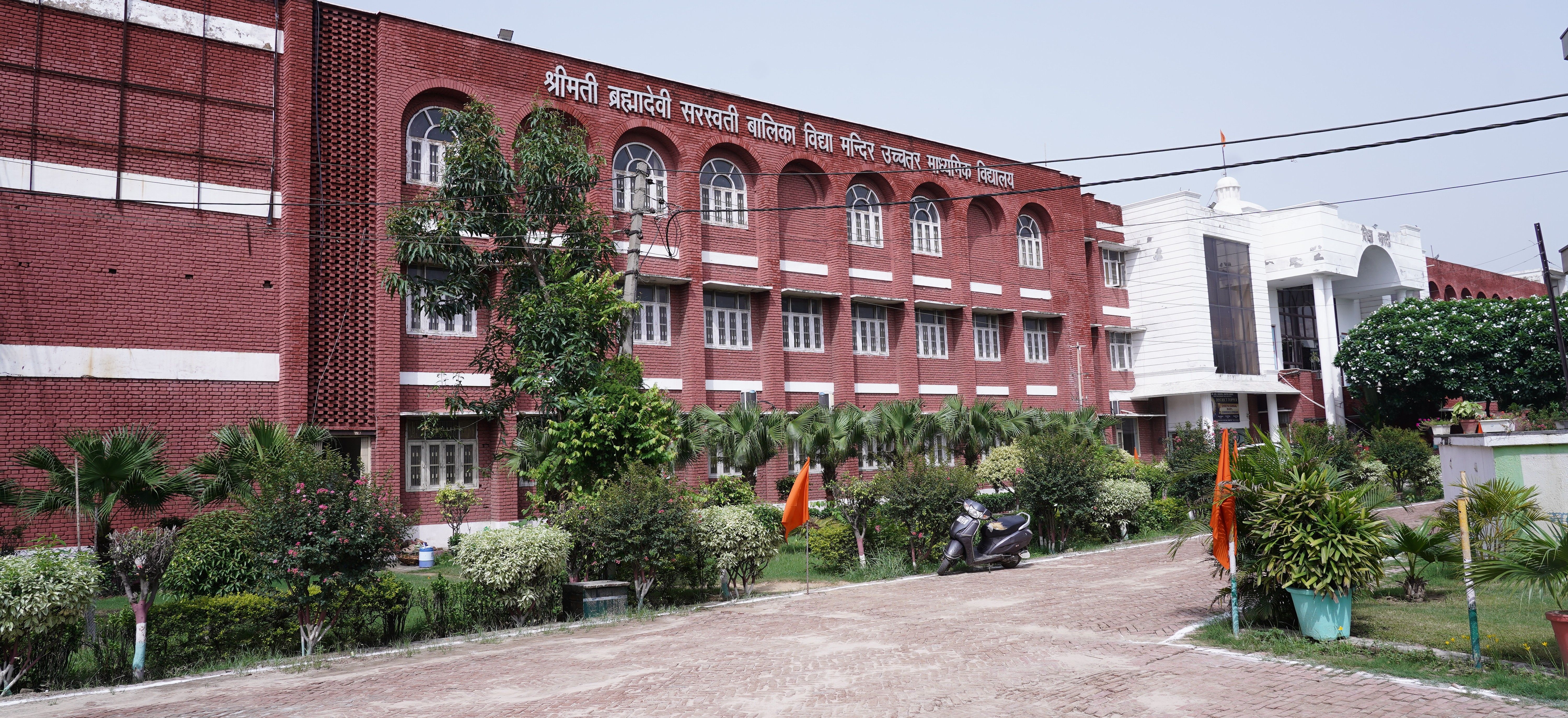 Side View